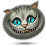 DaHousecat, DaHousecat