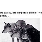 Saken.Almaty, Saken.Almaty
