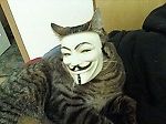 Глеб Шишкин, Глеб Шишкин