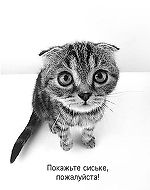 Асари, Асари