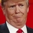 Donald Dumb