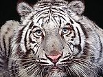 odil19@mail.ru, odil19@mail.ru