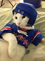 TexeesRangers, TexeesRangers