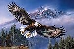 Eagle18, Eagle18
