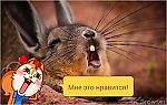 rtyhcfghh, rtyhcfghh