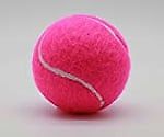 Ball Girl, Ball Girl