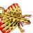 DRACO VOLANS
