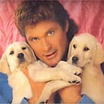 David Hasselhoff, David Hasselhoff
