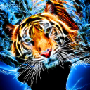 sihotetiger@vladivostok.com