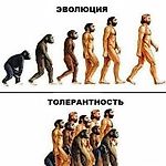 demai, demai