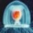 turritopsis