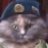 Котейкин
