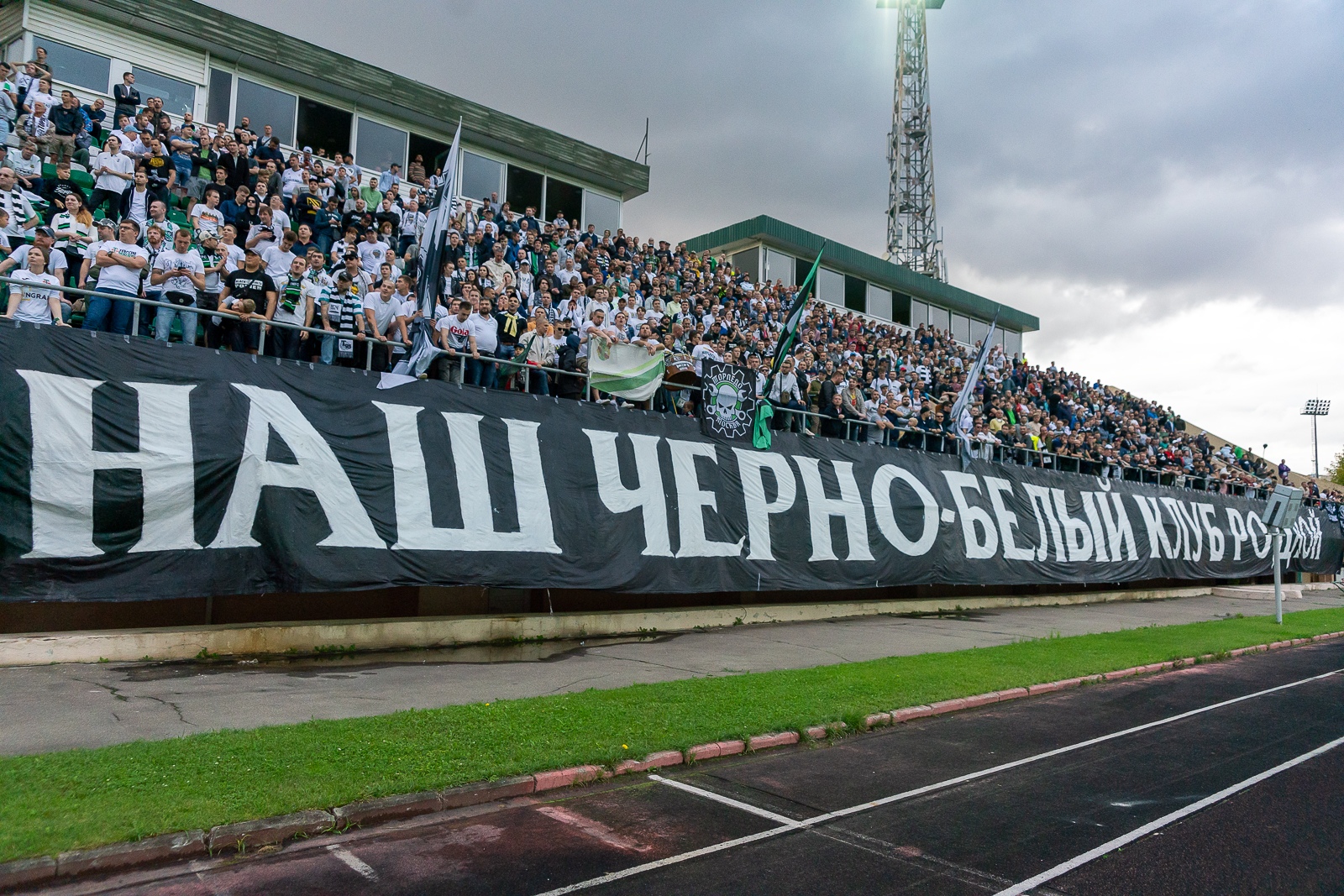 Торпедо