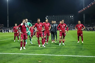 Успешного продолжения не последовало. Босния и Герцеговина 1:0 Польша