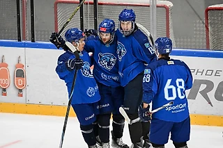 К чему приведёт перестройка «Снежных Барсов»?