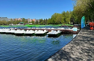 Компания «ПРОКАЧУ» выступила партнёром Измайловского парка во время празднования его 95-летия