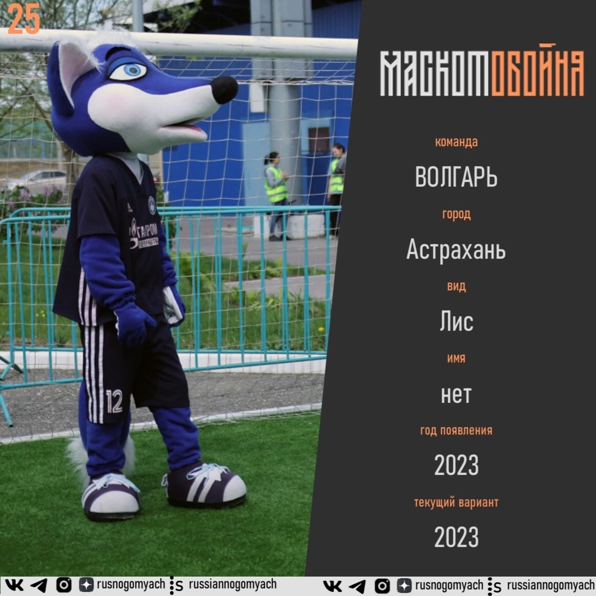 Волгарь