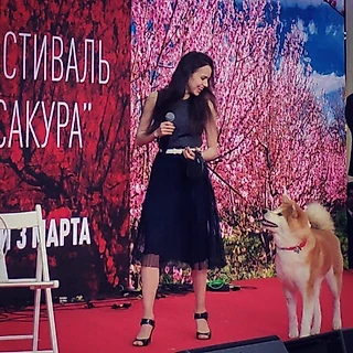 День сакуры