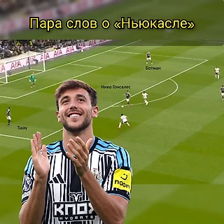 Пара слов о «Ньюкасле»