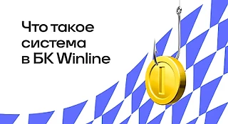 Что такое система в БК WINLINE