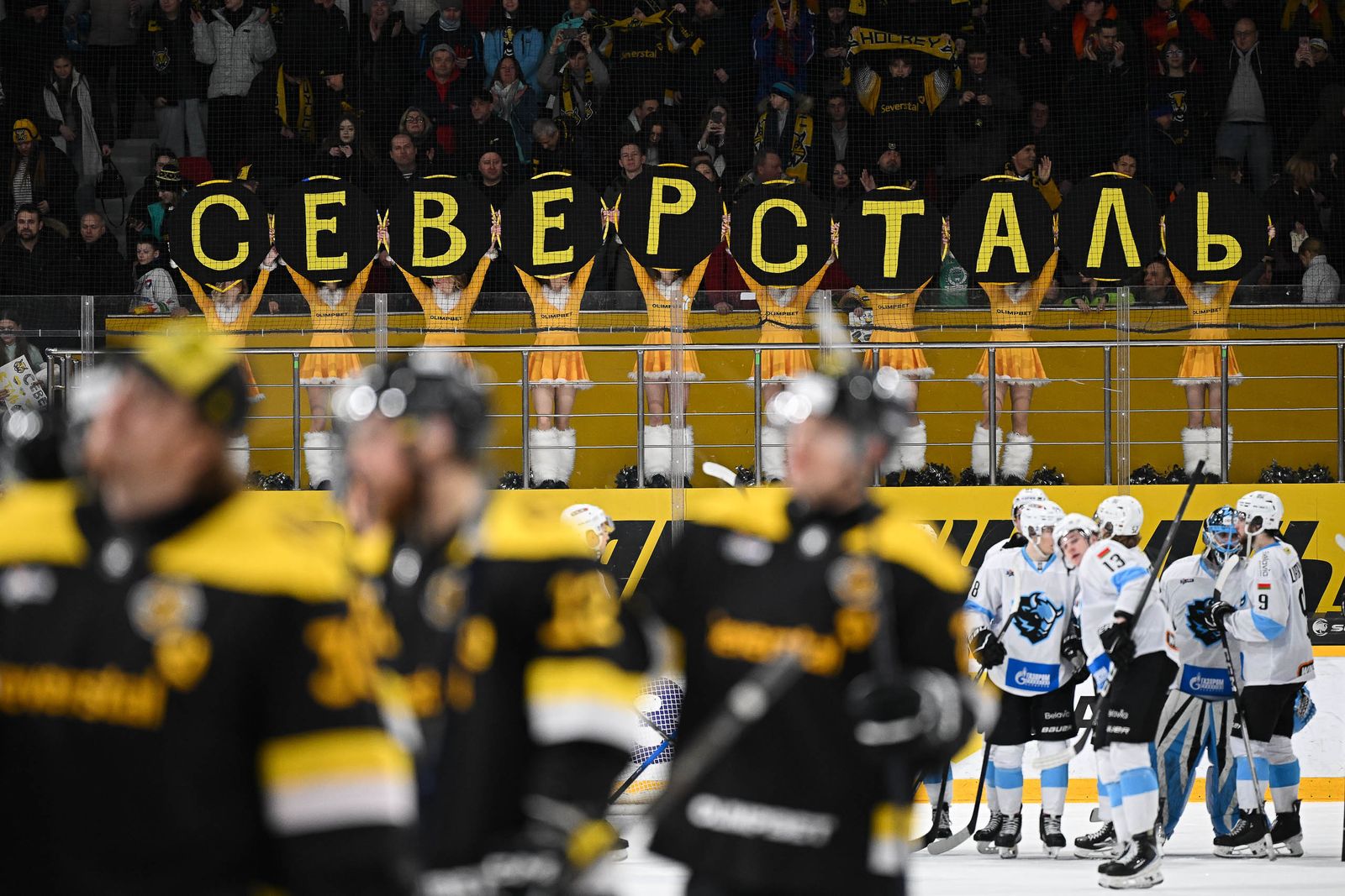 Янни Калдис, Северсталь, Александр Скоренов, Руслан Абросимов, Михаил Ильин
