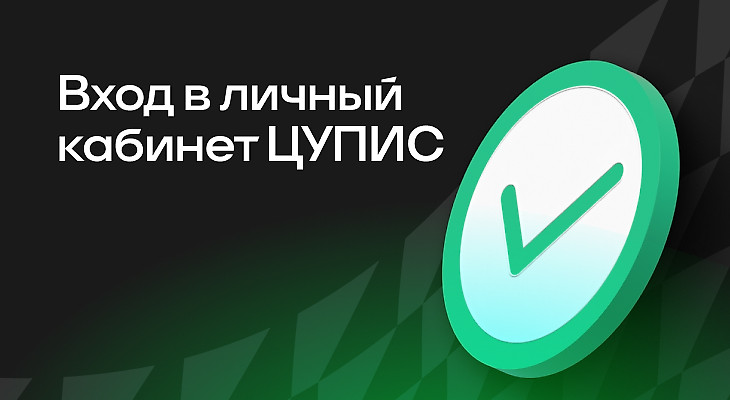 ЦУПИС: вход в личный кабинет