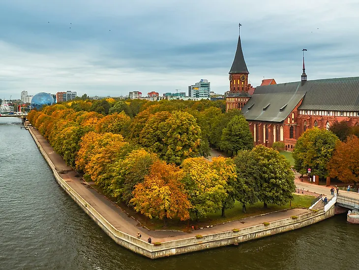 media