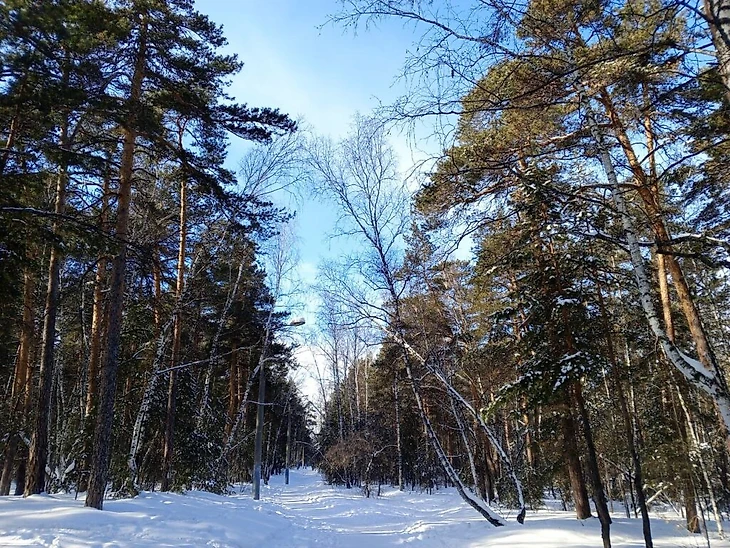 Парки имени Юрия Гагарина/ Челябинск