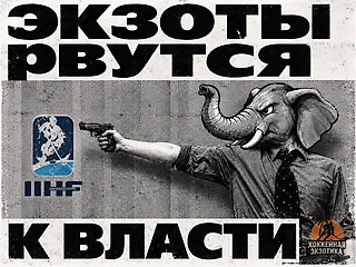 Экзотский переворот. Что известно о новичках Совета IIHF?